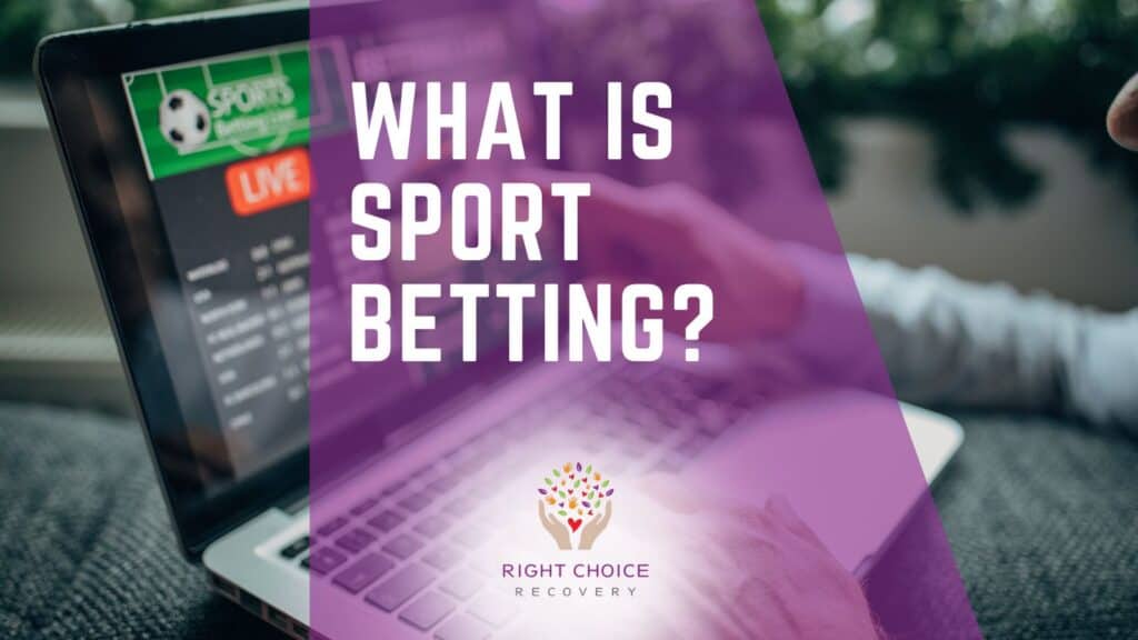 Beginner-Friendly Casino Interfaces A Guide to the Best User Experiences