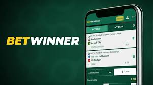 BetWinner App for iOS Your Ultimate Betting Experience -578996639