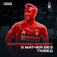 Прогнози на крикет і ставки Ваша путівка до успіху